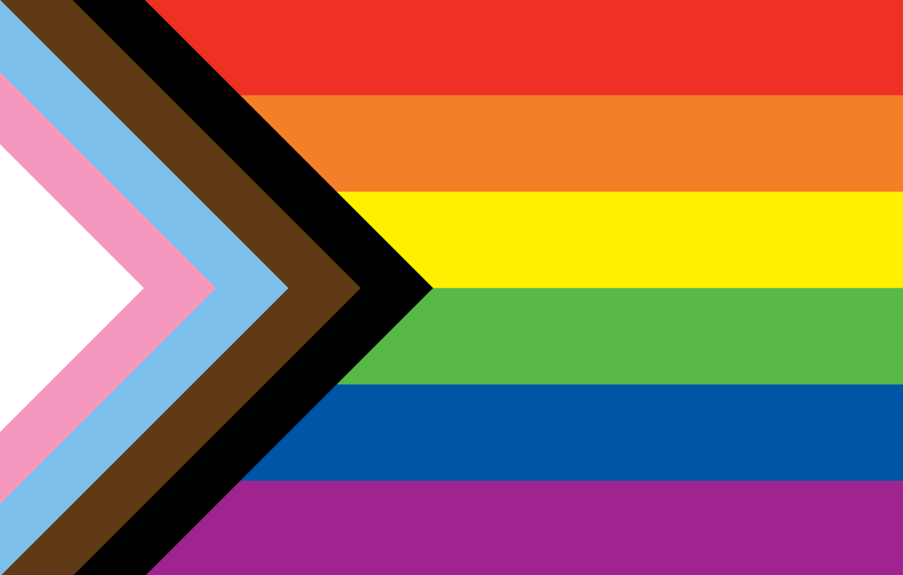 Picture of progress pride flag