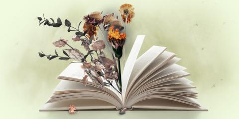 Flowers sprouting from book.