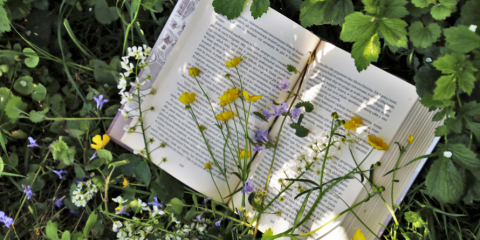 Book in a patch of flowers.