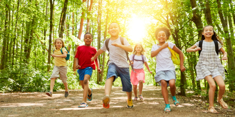 Kids walking on a forest path.