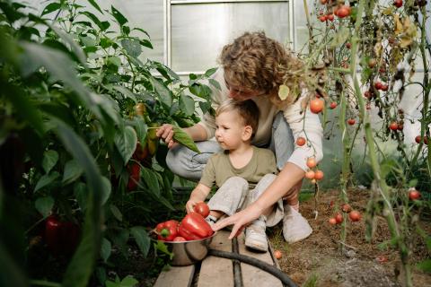 Two people planting