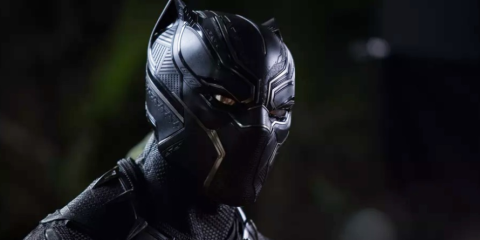 Masked Black Panther superhero.