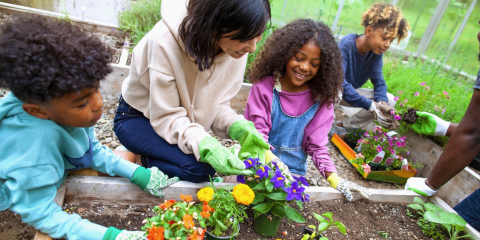 gardening