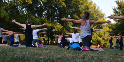 People performing simple stretches together.