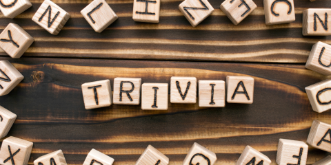 The word trivia made with tiles