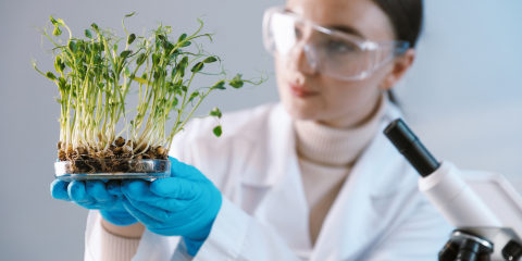 science with plants