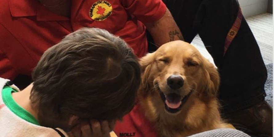 A child reading to a therapy dog.