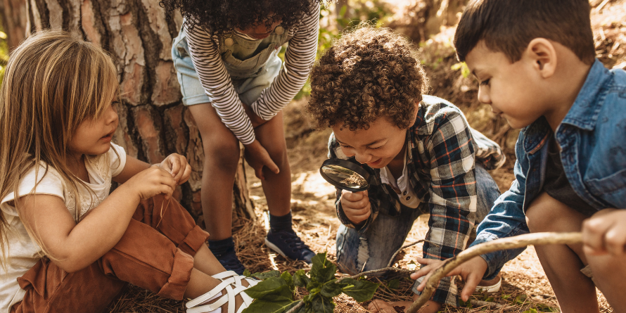 Kids looking at the ground in a forest.