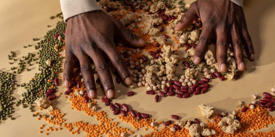 Hands touching a variety of seeds on a table.