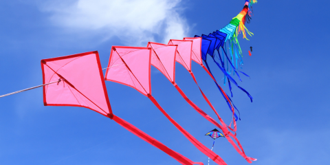 Kites flying in the sky
