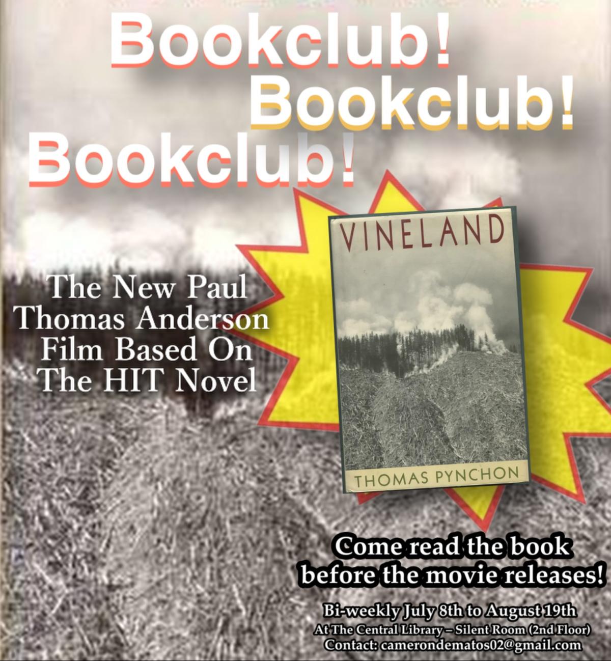 book cover of vineland 
