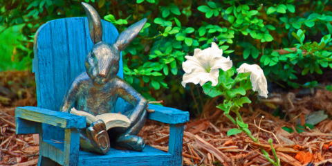 rabbit on chair reading