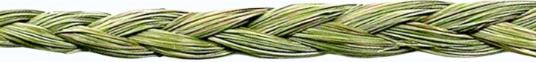 sweetgrass